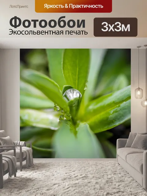 Фотообои Роса