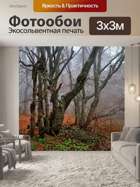 Фотообои Буки