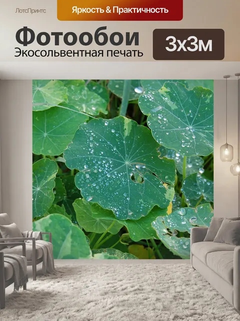 Фотообои Лист