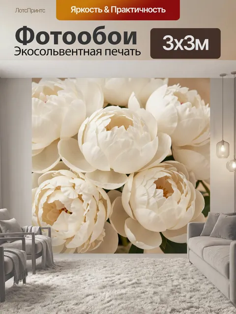Фотообои Белые пионы крупным планом
