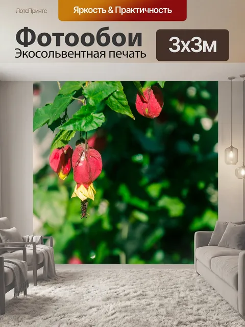 Фотообои Цветок