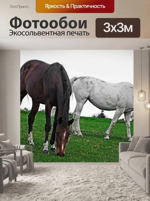 Фотообои Пастбище лошадей