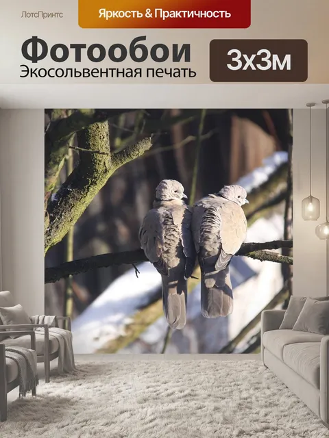 Фотообои Птицы