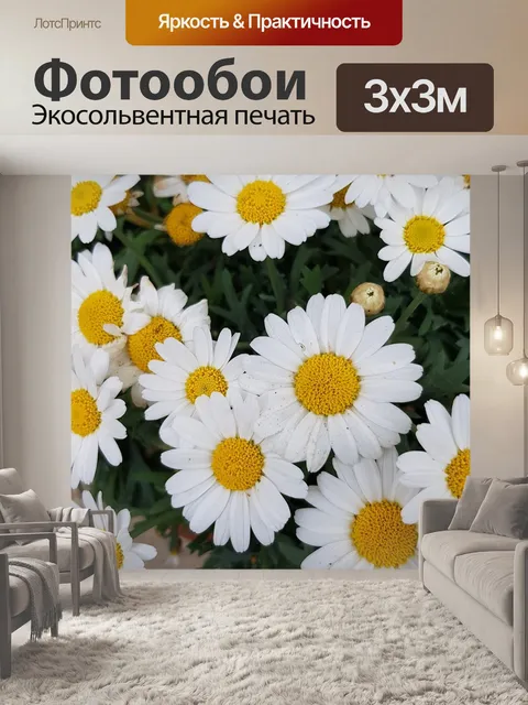 Фотообои Маргаритки