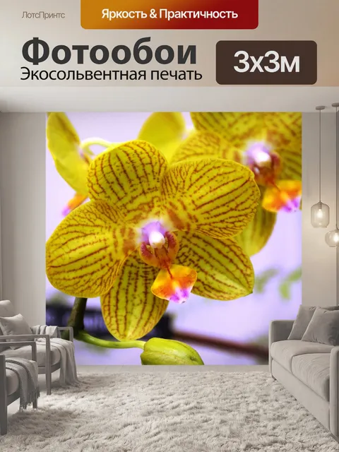 Фотообои Цветок