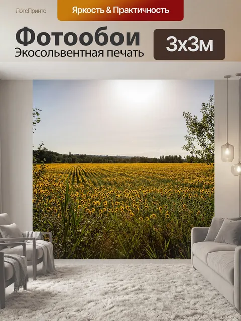 Фотообои Прованс