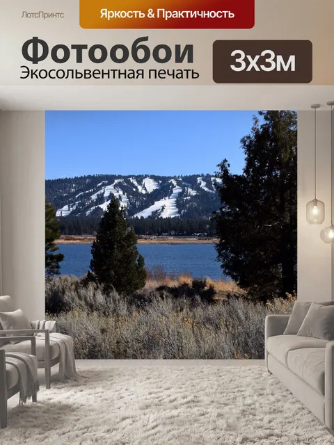 Фотообои Озеро зимой