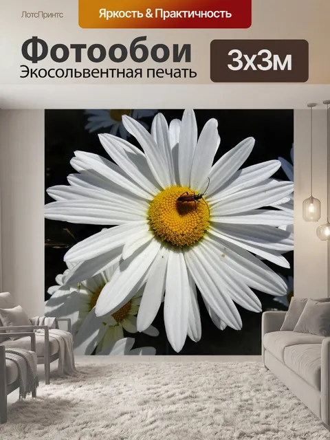 Фотообои Цветы