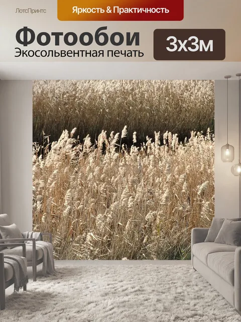 Фотообои Камыши