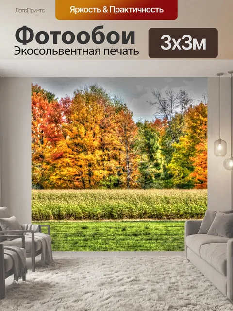 Фотообои Осенняя листва