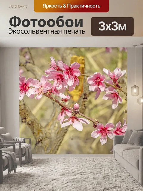 Фотообои Цветы