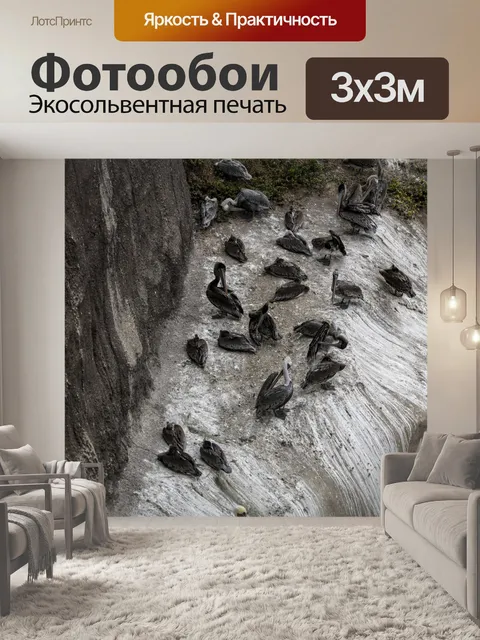Фотообои пеликан