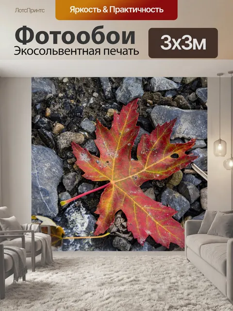 Фотообои Красный осенний лист