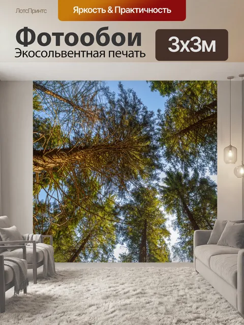 Фотообои Деревья, глядя вверх