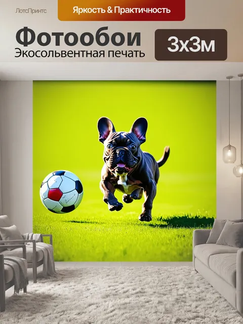 Фотообои французский бульдог, полный энергии, бегает по зеленому полю, ловя мяч