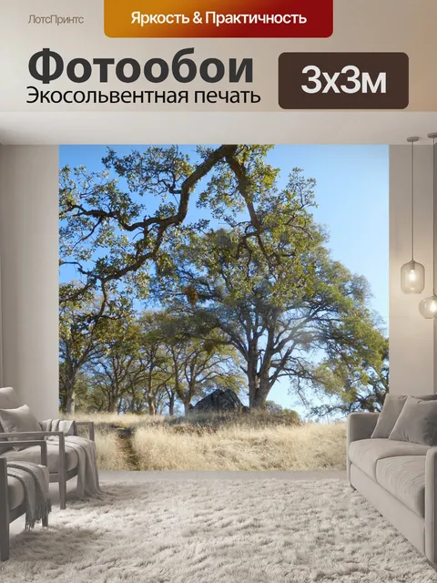 Фотообои Фолсом Лейк-Хиллз 123