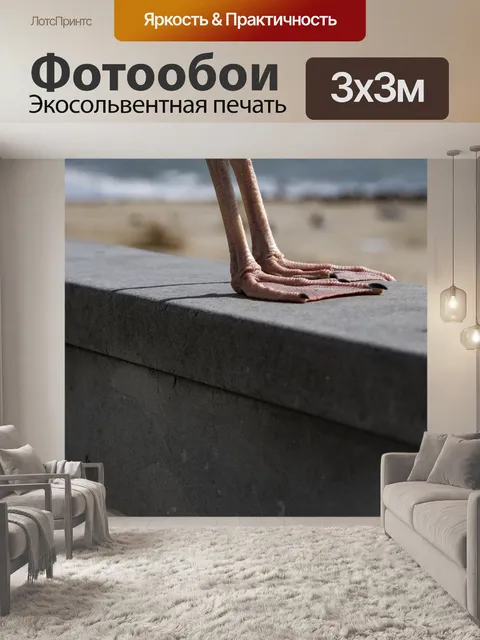 Фотообои Ноги чайки