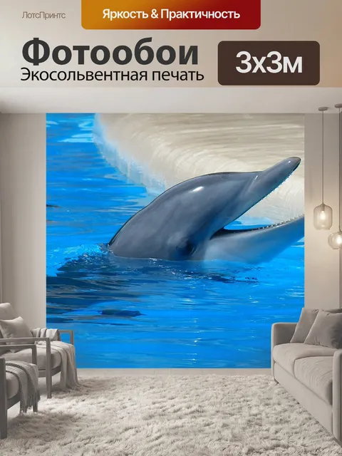 Фотообои Бутылконосый дельфин