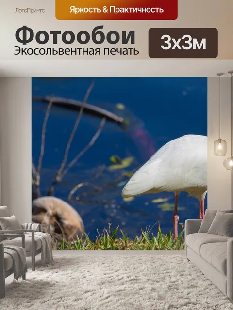 Фотообои Птицы