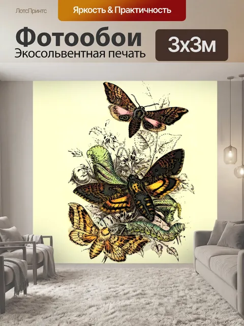 Фотообои Бумага-бабочка 001