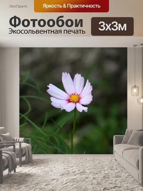 Фотообои Космос