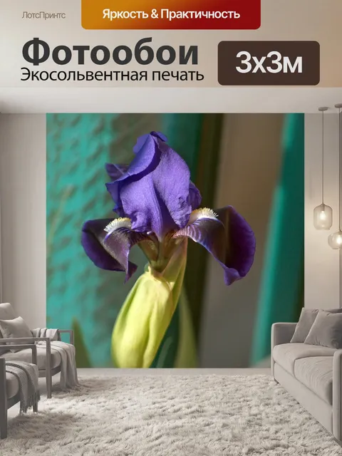 Фотообои Ирис