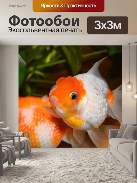 Фотообои Золотая рыбка