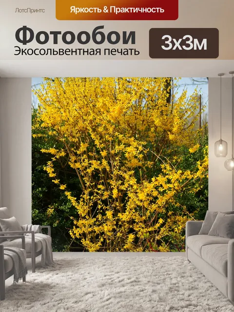 Фотообои Расцветает