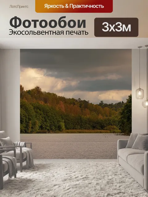 Фотообои Лес