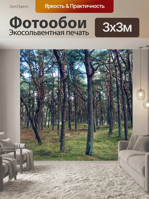 Фотообои Лес