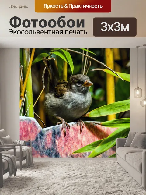 Фотообои Воробей