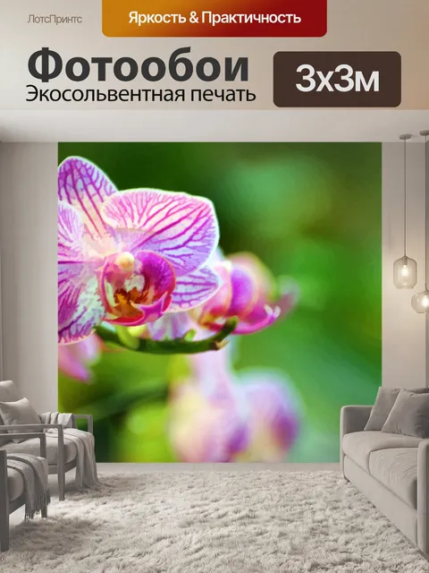 Фотообои Розовая орхидея