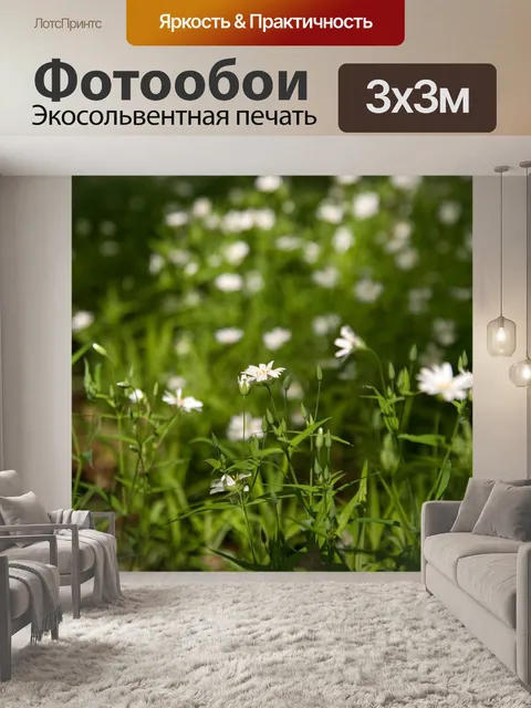 Фотообои Цветы