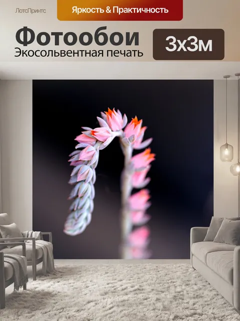Фотообои Блум