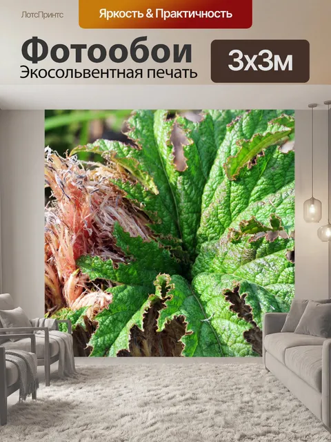 Фотообои папоротник