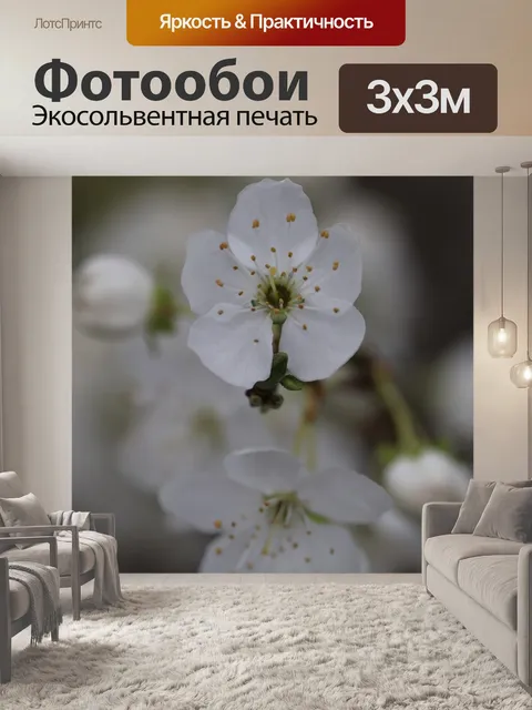 Фотообои Цветы