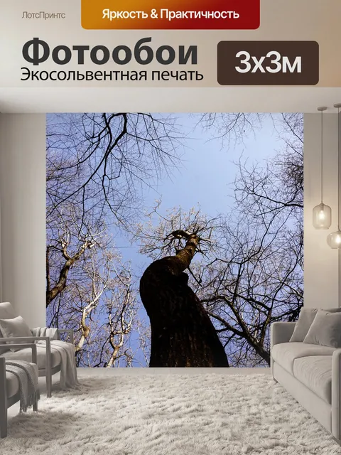 Фотообои Деревья