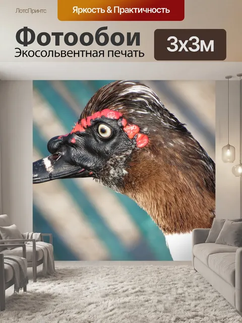 Фотообои Гусь