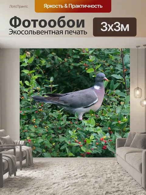Фотообои Хохлатая