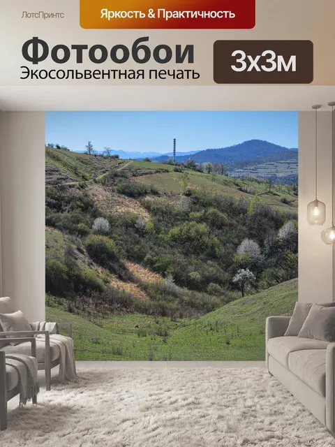 Фотообои Деревья