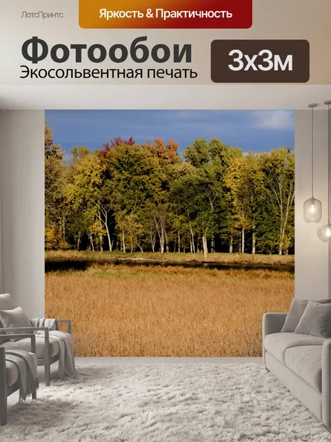 Фотообои Осенние деревья