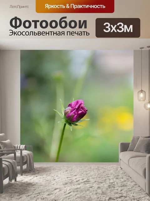 Фотообои Бутон
