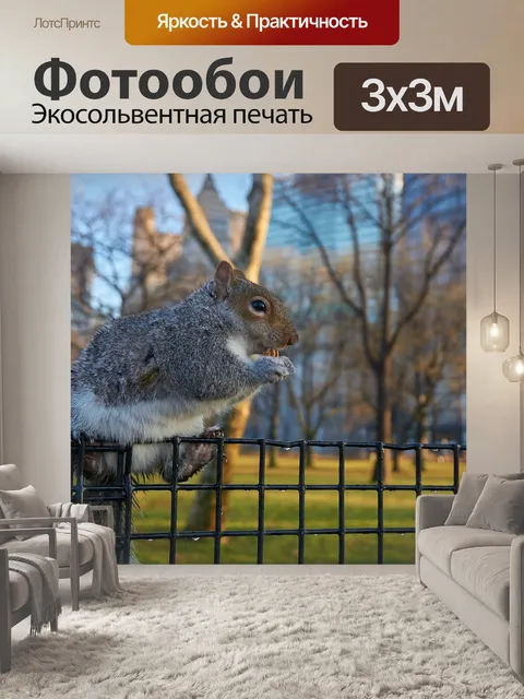 Фотообои Белка