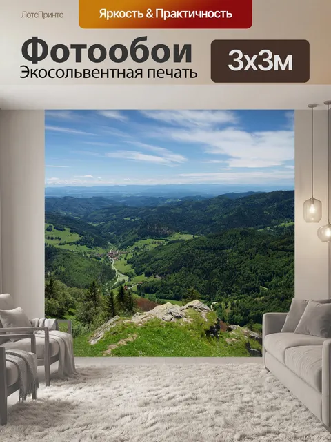 Фотообои Черный лес