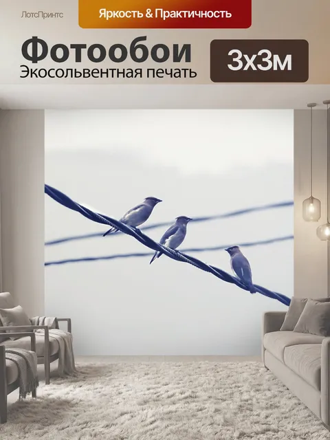 Фотообои Птицы
