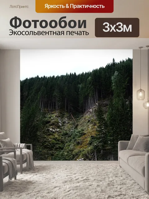 Фотообои Лес