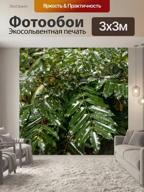 Фотообои Листья