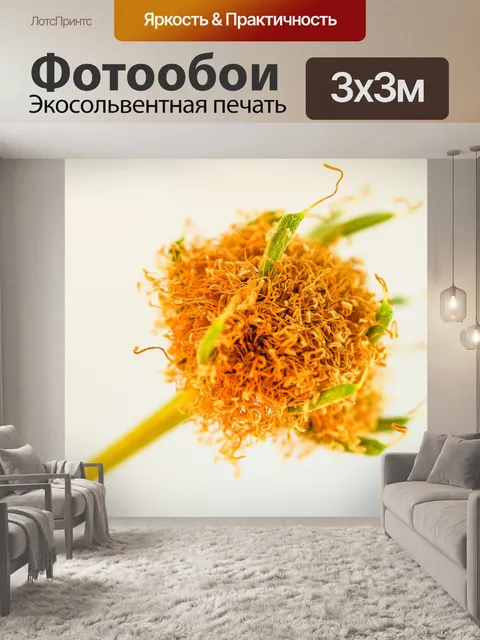Фотообои Зеленое семя Белый цветок попинака