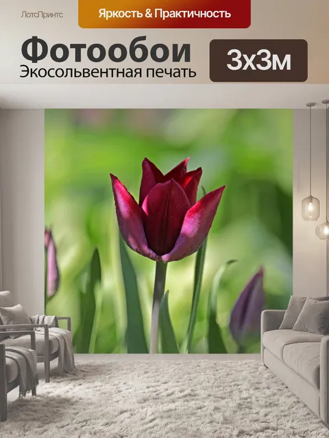 Фотообои Тюльпаны