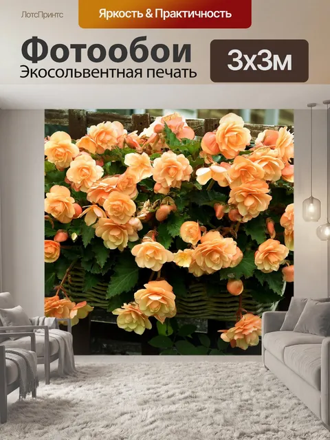 Фотообои Цветы